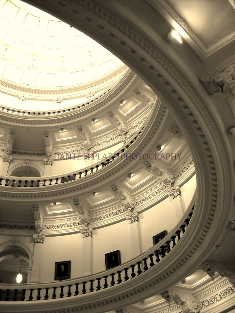 rotunda1 b w (3))