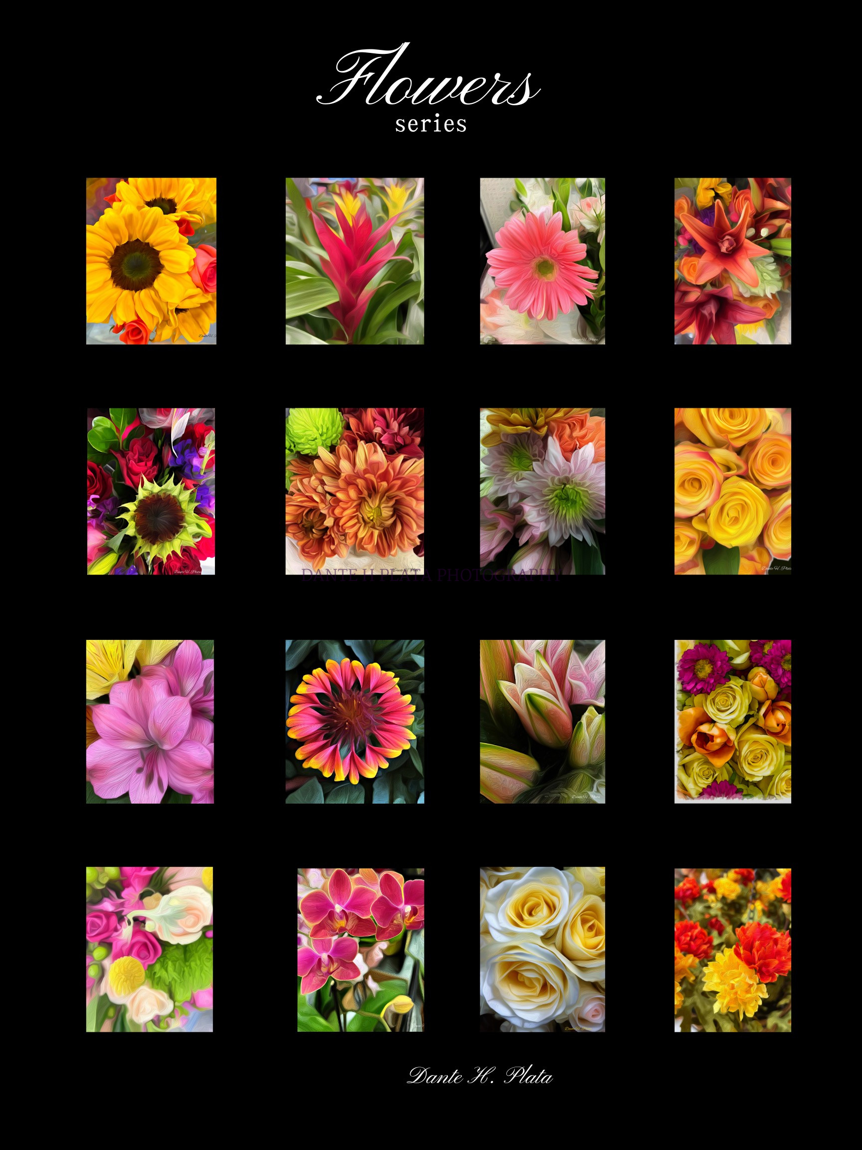 flowers 1