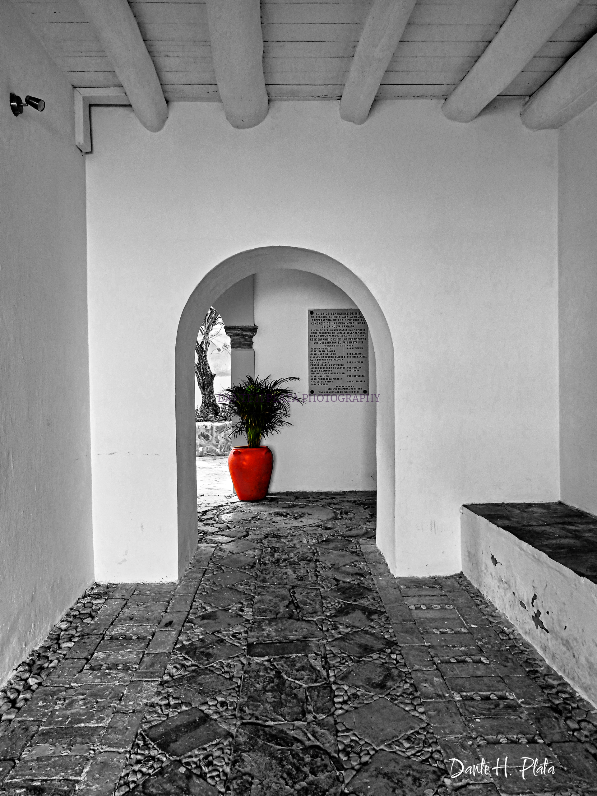 red vase