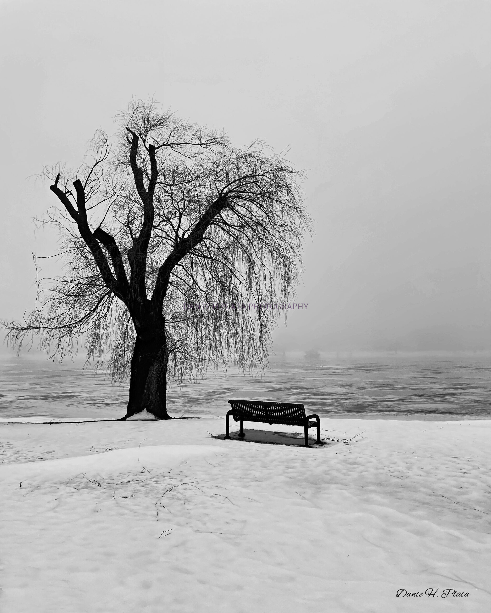 snow bench